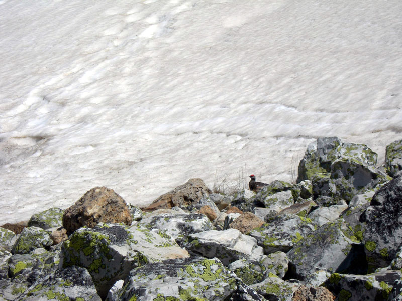 randonnee en maurienne le lac de la partie et le col de chaviere